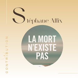 Stéphane Allix - La mort n'existe pas