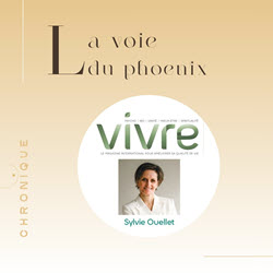 Chronique La voie du phoenix